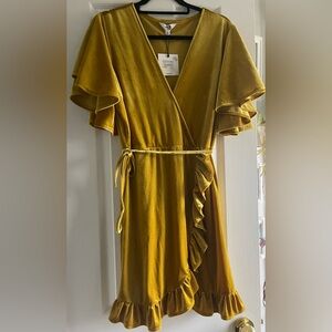 NWT Velvet tunic dress by Jack by BB Dakota